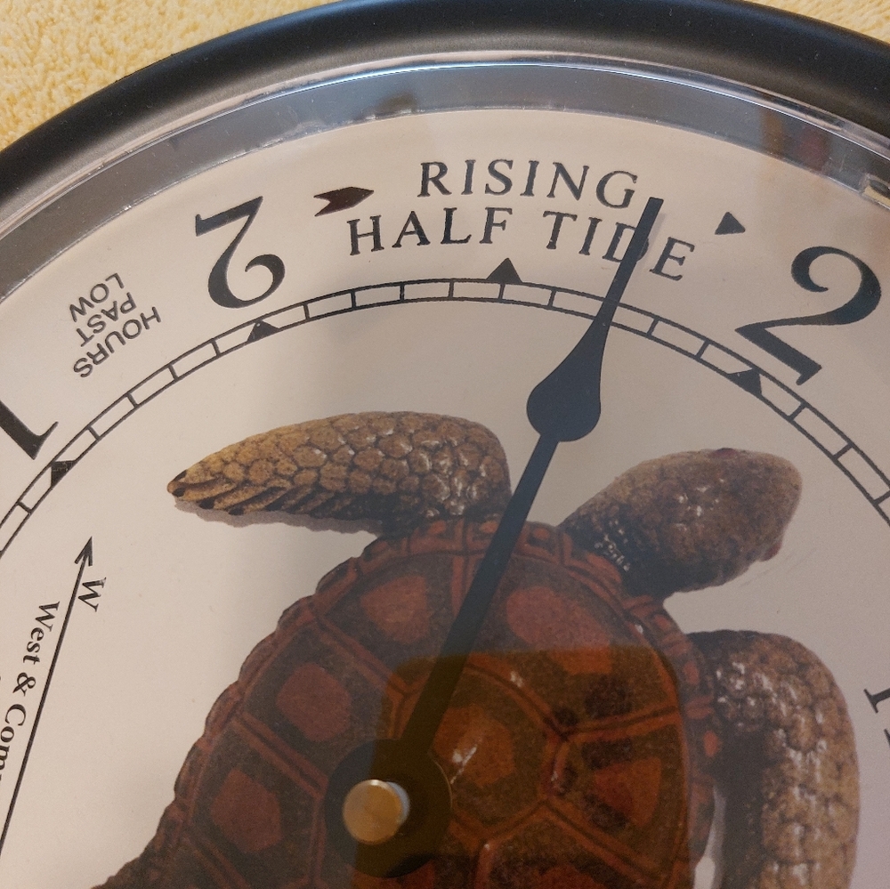 Tide Chart Turtle Clock - Picture 3 of 5